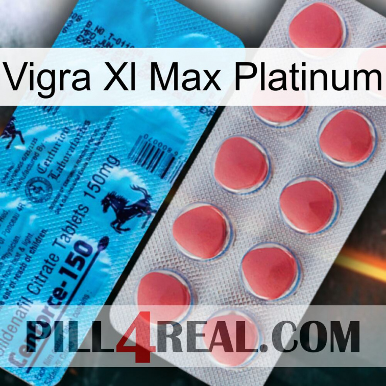 Vigra Xl Max Platinum new14